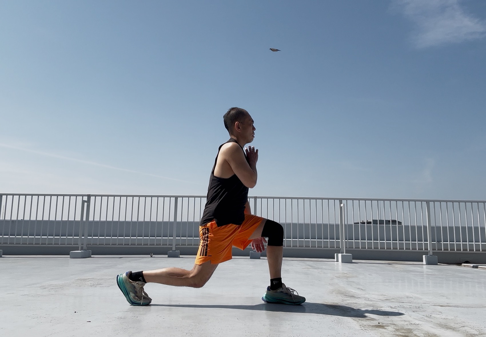 �{�f�B�R���o�b�g106-6,�R���o�b�g3,�R���I,�e�N�j�b�N,�|�C���g